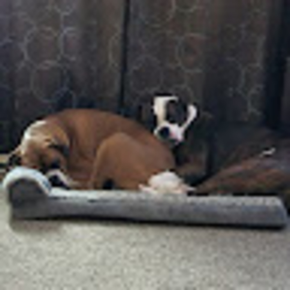 Meet your Posher, Julie